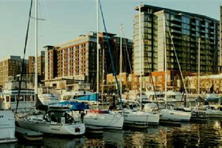 Ivy, 26 — Escort in The Wharf, United States