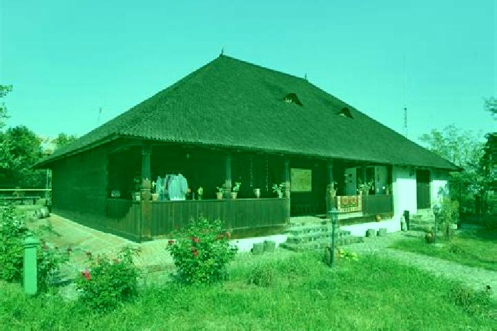 Ivy, 26 — Escort in Valea Calugareasca, Romania