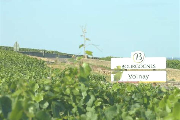 Ivy, 26 — Escort in Volnay, France