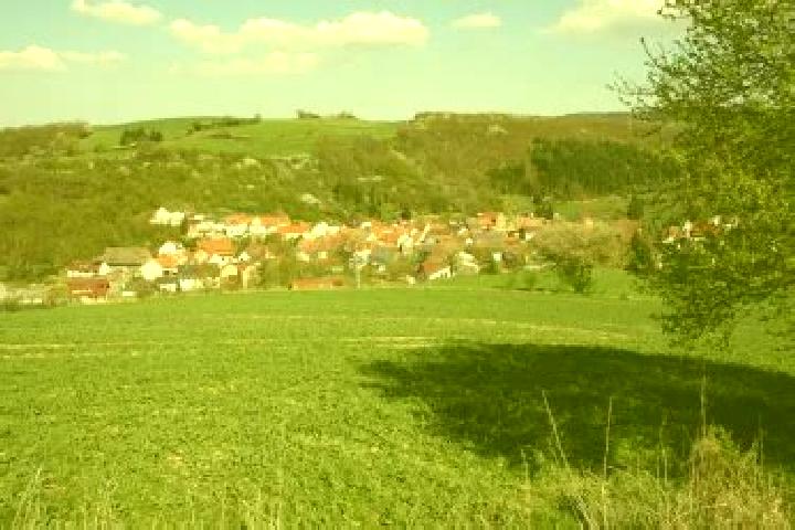 Ivy, 26 — Escort in Waldgrehweiler, Germany