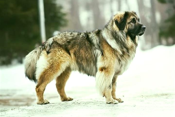 Ivy, 27, a black grey-eyed caucasian companion based in Krynica Morska. Offering OWO, CIM, Travel Companion. Available for incall and outcall, overnight book...