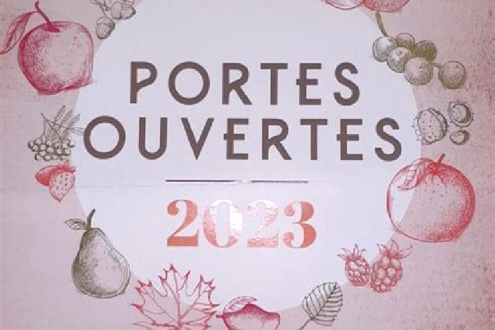 Ivy, 27 — Escort in Conchy-les-Pots, France