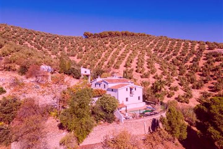 Ivy, 27 — Escort in El Cortijo, Mexico