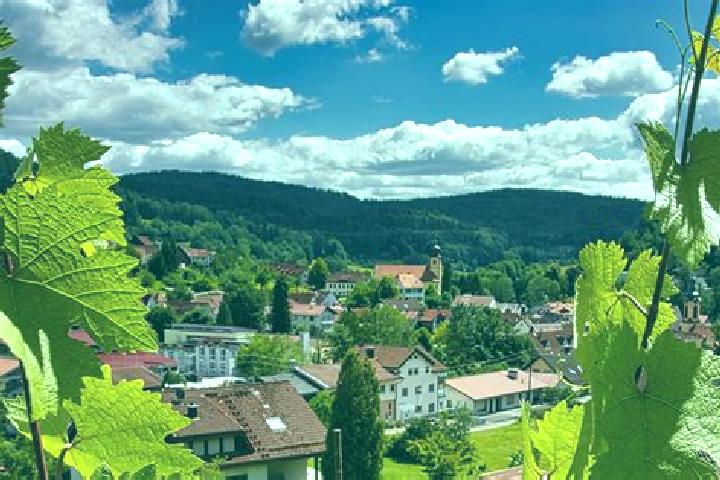Ivy, 27 — Escort in Heiligkreuzsteinach, Germany