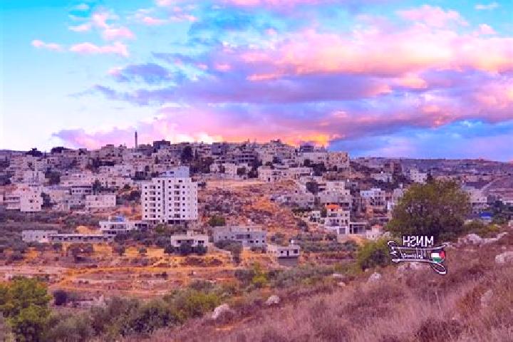 Ivy, 27 — Escort in Husan, Palestine