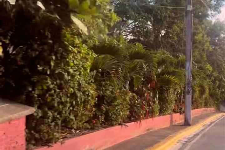 Ivy, 27 — Escort in Juncalito Abajo, Dominican Republic