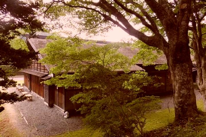 Ivy, 27 — Escort in Kitahiroshima, Japan