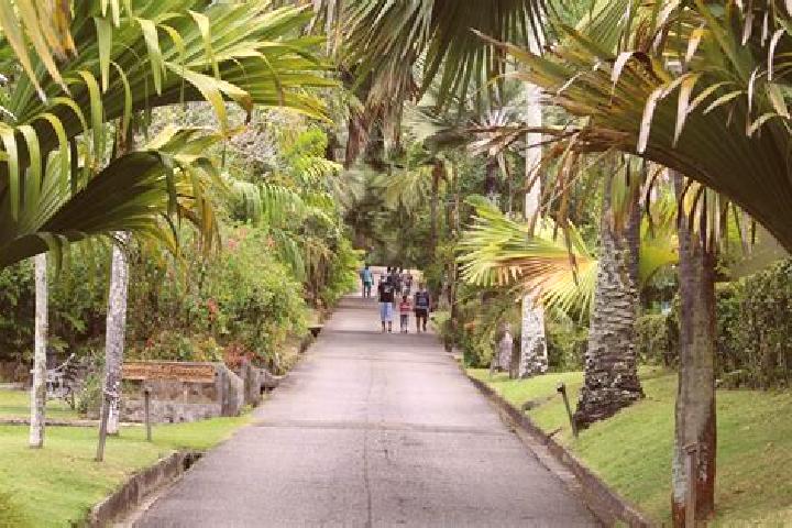 Ivy, 27 — Escort in Mont Fleuri, Seychelles