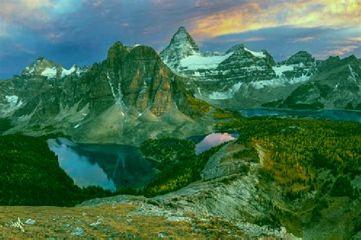 Ivy, 27 — Escort in Mount Moriah, Canada