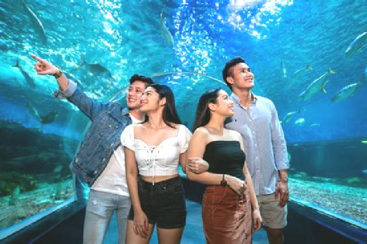 Ivy, 27 — Escort in Ocean Park, United States