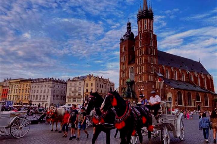 Ivy, 27 — Escort in Ogrodzona, Poland