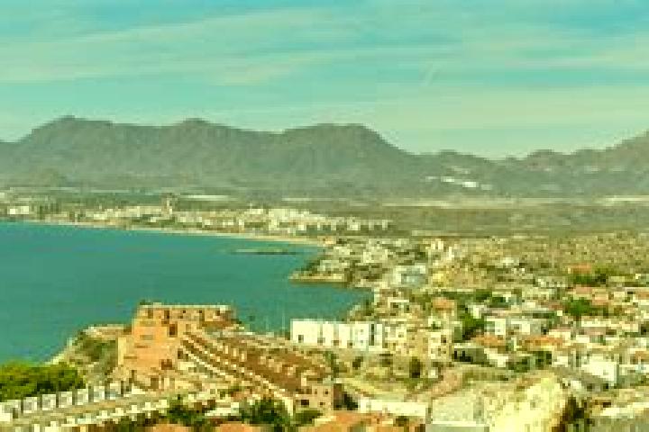 Ivy, 27 — Escort in Pulpi, Spain