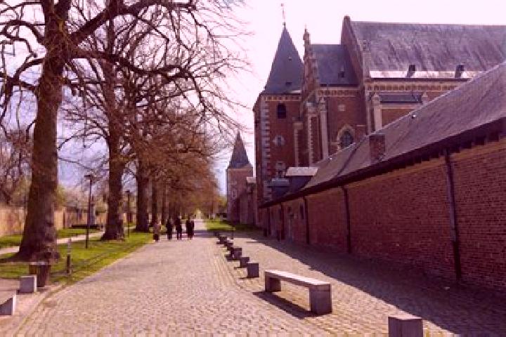 Ivy, 27 — Escort in Rijkhoven, Belgium