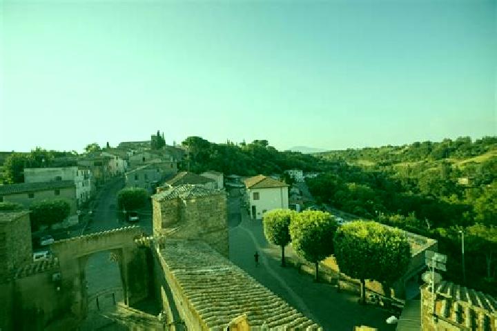 Ivy, 27 — Escort in Sipicciano, Italy