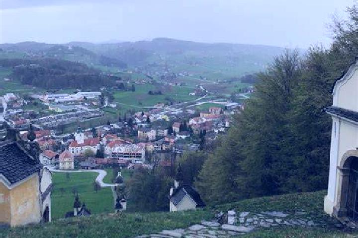 Ivy, 27 — Escort in Smarje, Slovenia