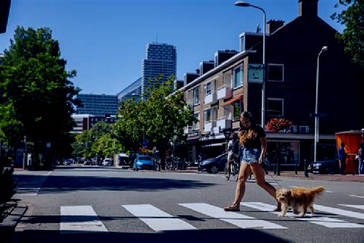 Ivy, 27 — Escort in Statenkwartier, Netherlands