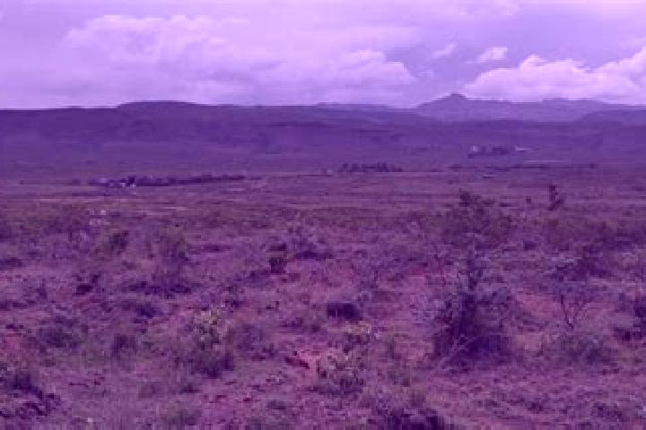 Ivy, 27 — Escort in Upper Gilgil, Kenya