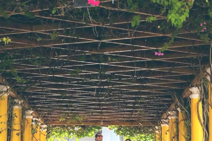 Ivy, 28 — Escort in Arimis, Honduras