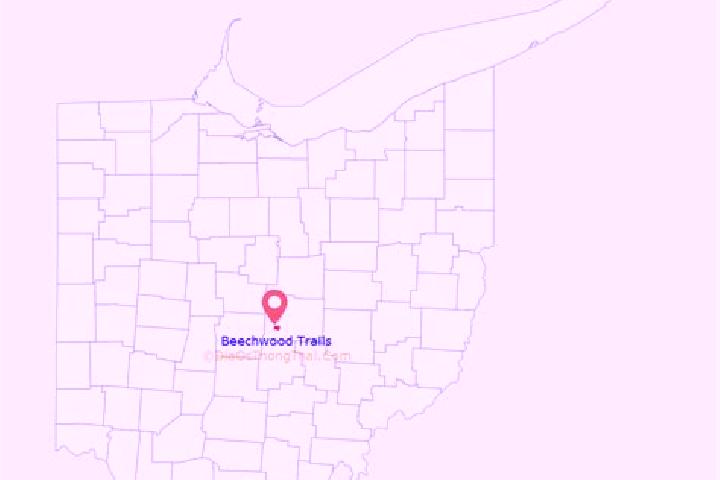 Ivy, 28 — Escort in Beechwood Trails, United States