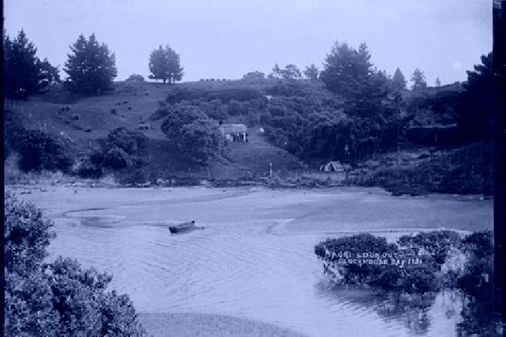 Ivy, 28 — Escort in Blockhouse Bay, New Zealand