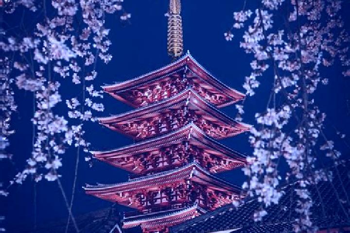 Ivy, 28 — Escort in Kosuge, Japan