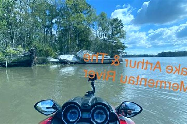 Ivy, 28 — Escort in Lake Arthur, United States