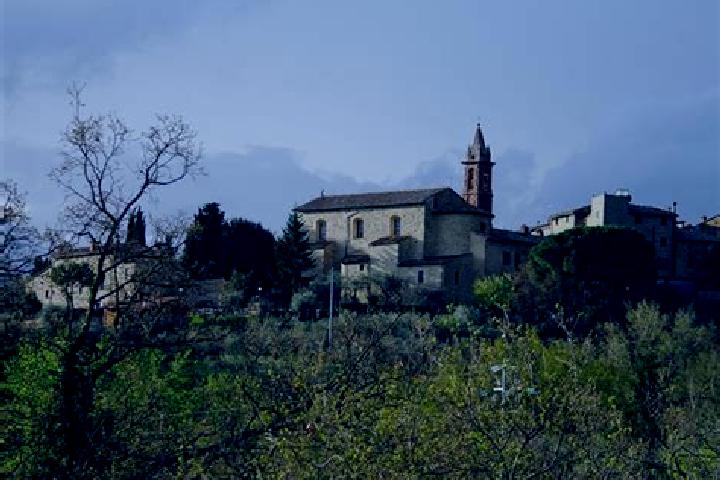 Ivy, 28 — Escort in Paciano, Italy