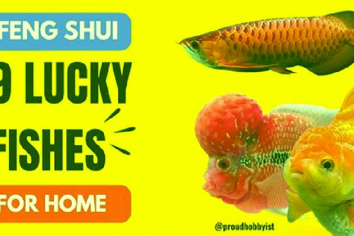 Ivy, 28 — Escort in Peifeng, China