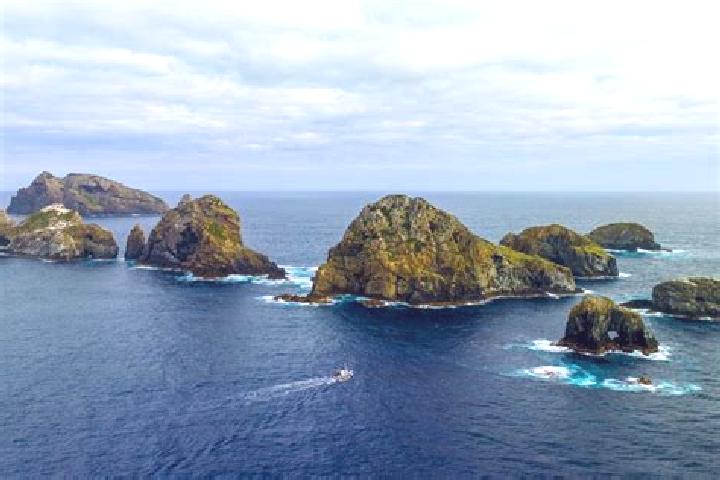 Ivy, 28 — Escort in Three Kings, New Zealand