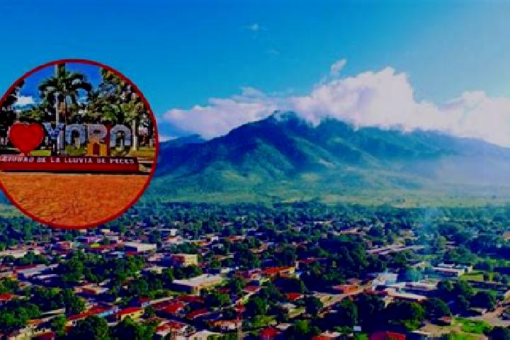 Ivy, 28 — Escort in Yoro, Honduras
