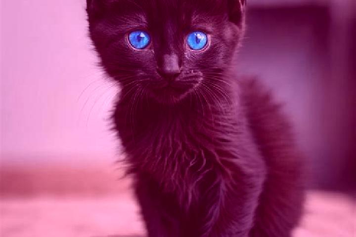 Ivy, 29, a black blue-eyed caribbean companion based in Dorokhovo. Offering GFE, Fetish, Party Girl. Available for incall and outcall, overnight bookings ava...