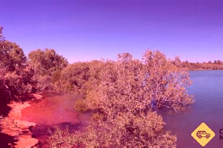 Ivy, 29 — Escort in Bull Creek, Australia