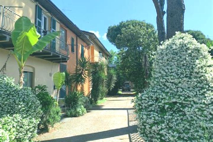 Ivy, 29 — Escort in Ceparana-Carpena, Italy