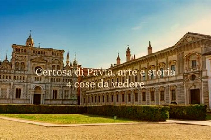 Ivy, 29 — Escort in Certosa di Pavia, Italy