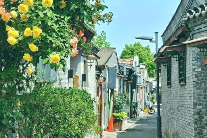 Ivy, 29 — Escort in Xiangfeng, China