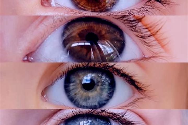 Ivy, 30, a chestnut grey-eyed middle eastern companion based in Uhyst. Offering Tantra, Massage, BDSM, OWO. Available for incall and outcall, day and evening...