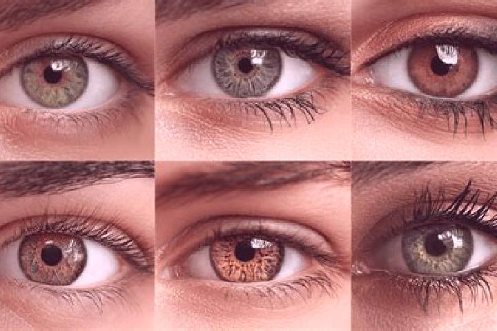 Ivy, 30, a red hazel-eyed middle eastern companion based in Goess. Offering Overnight, Travel Companion, A-Level. Available for incall and outcall, overnight...