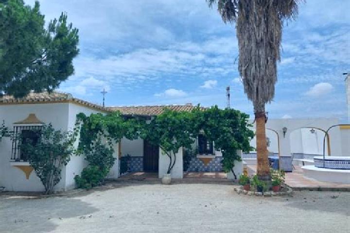 Ivy, 30 — Escort in Guillena, Spain