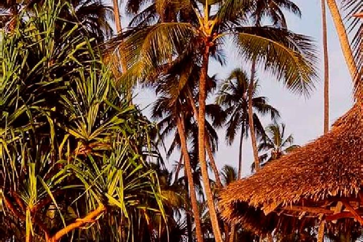 Ivy, 30 — Escort in Hedaru, Tanzania