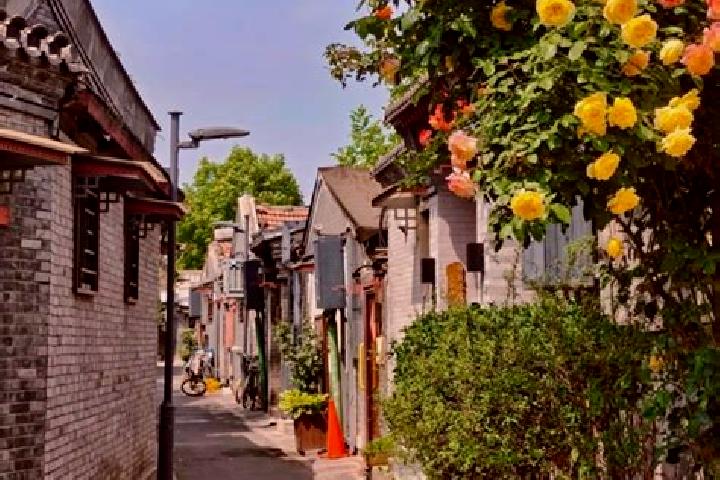 Ivy, 30 — Escort in Hudong, China