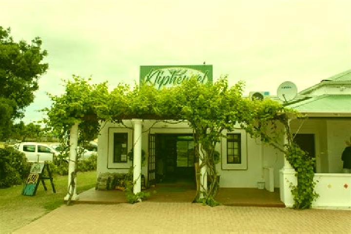 Ivy, 30 — Escort in Klipheuwel, South Africa
