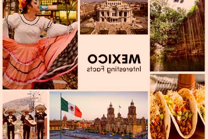 Ivy, 30 — Escort in La Tepuza, Mexico