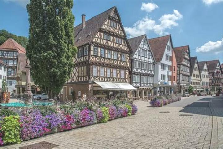 Ivy, 30 — Escort in Nagold, Germany