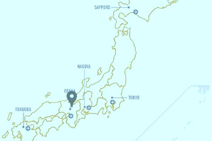 Ivy, 30 — Escort in Oshu, Japan