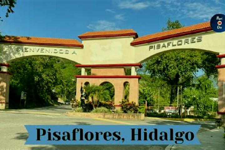 Ivy, 30 — Escort in Pisaflores, Mexico