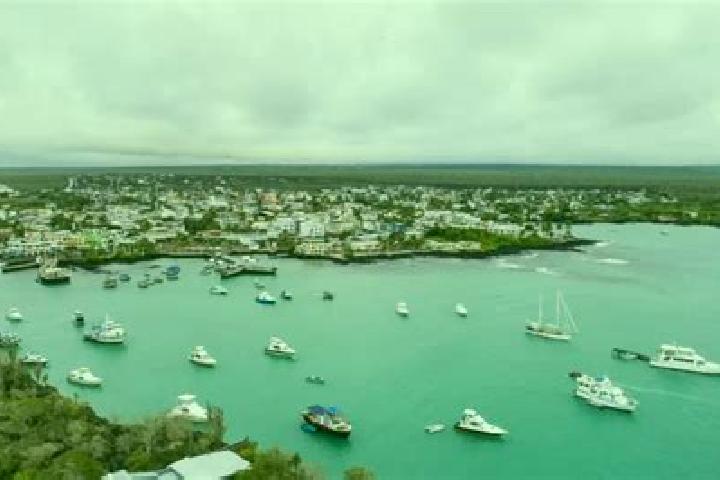 Ivy, 30 — Escort in Puerto Ayora, Ecuador