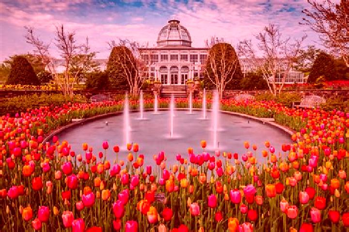 Ivy, 30 — Escort in Roosevelt Gardens, United States