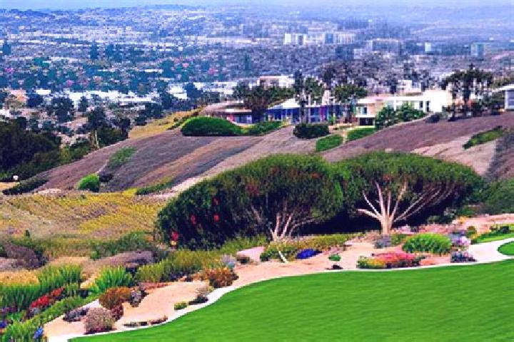 Ivy, 30 — Escort in San Diego Country Estates, United States