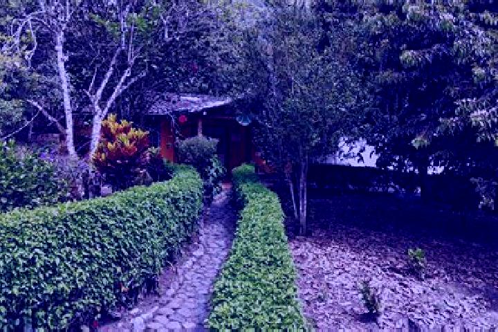 Ivy, 30 — Escort in Tumbabiro, Ecuador
