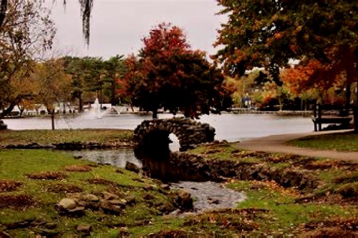 Ivy, 30 — Escort in Village Park, United States
